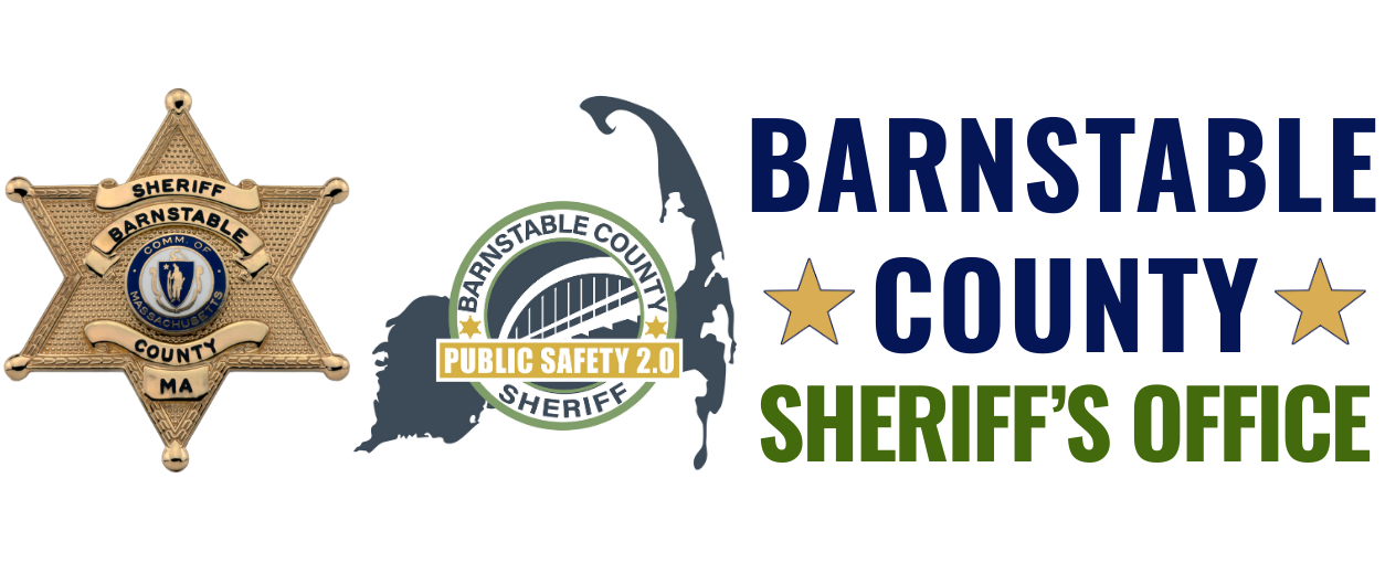 BCSO banner